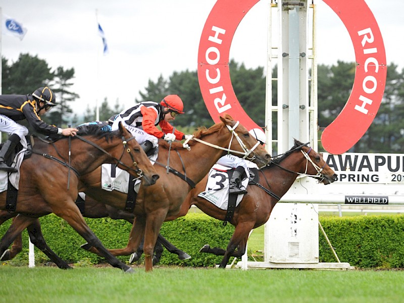 Father Lenihan, rails, staves off a late challenge by One Prize One Goal to score at Awapuni. PHOTO: Race Images.