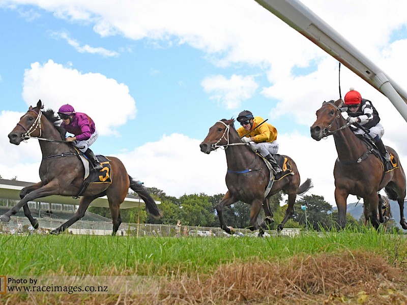 Princess Amelie scores her maiden win at Tauherenikau, beating Tutta La Classe (rails) and Kahu Rock. PHOTO: Race Images.