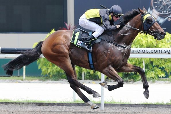 Lincoln Road started his career in Singapore with five wins on end