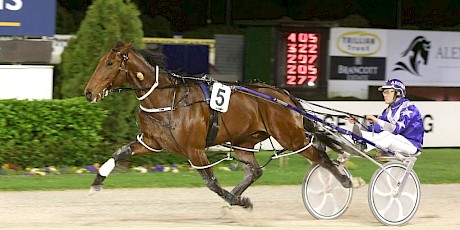 Major Trojan powers home in 2:39.5 at Auckland