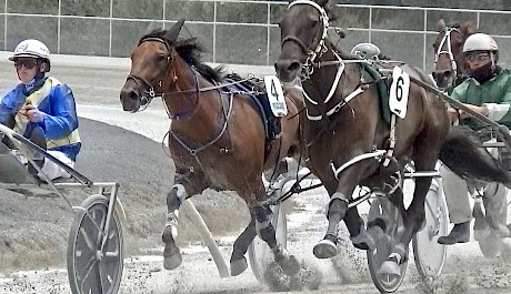 Zealand Star (Zachary Butcher) moves round to set out after leader Let’s Elope in his Pukekohe workout last Saturday.