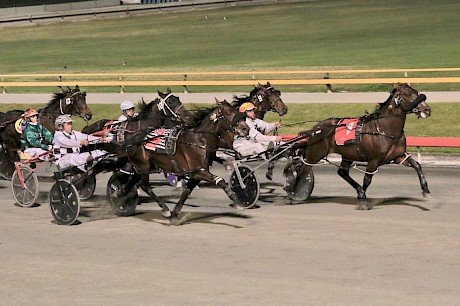Northview Hustler runs a great lead-up fourth in the Sunshine Sprint behind Ohoka Punter, Colt Thirty One and Watch Pulp Fiction. PHOTO: Dan Costello.