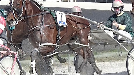 Copy That (Zachary Butcher) pacing beautifully mid-way at Pukekohe today.