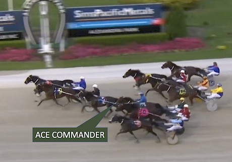 Ace Commander is close up in a much stronger field than he meets on Saturday night.