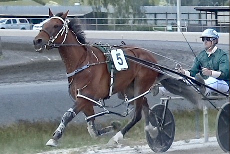 Classie Reactor (Andrew Drake) leads early in his heat at Pukekohe.