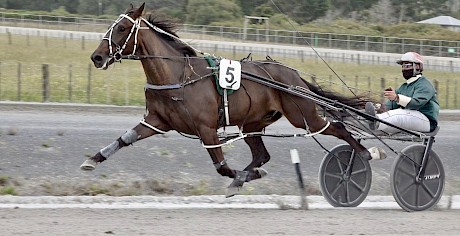 Man Of Action strides out boldly in front for Zachary Butcher at Pukekohe today.