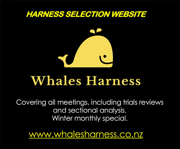 Whales Harness