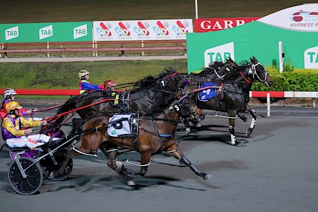 The photo finish goes against Man Of Action, inner, on his Albion Park debut. PHOTO: Dan Costello.