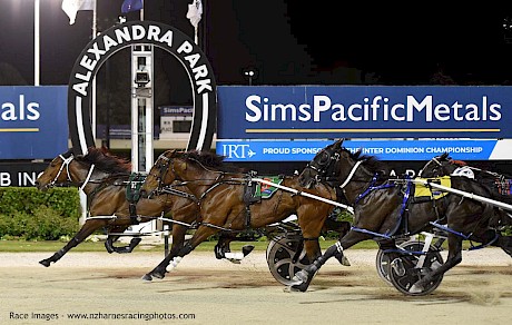 Tommy Lincoln is too fast for Star Galleria and Dance Time in a 1:54.4 mile at Auckland last October, one of his four wins this season. PHOTO: Megan Liefting.