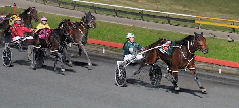 Tommy Lincoln records his second win at Albion Park, going all the way. PHOTO: Dan Costello.