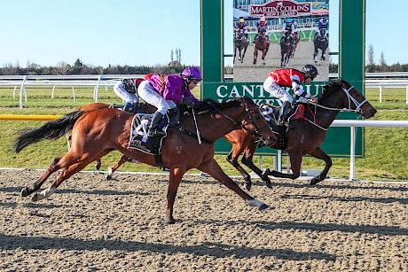 Father Lenihan staves off a big late charge from Hemi Ridapest at Riccarton. PHOTO: Ajay Berry/Race Images.