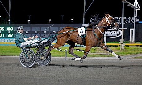 Lincoln La Moose, the biggest surprise of all, powers away with the last race at Cambridge. PHOTO: Angelique Bridson.