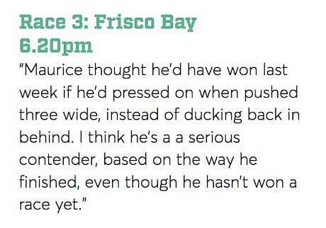 Ray Green’s pre-race analysis helped Frisco Bay’s followers into an $11.70 win dividend.