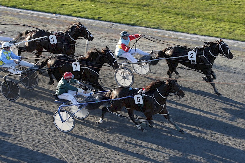 Beaudiene Boaz, centre, beating Bettor Spirits at the 2014 Harness Jewels. His sale to Australia netted a fantastic profit for his partnership members.