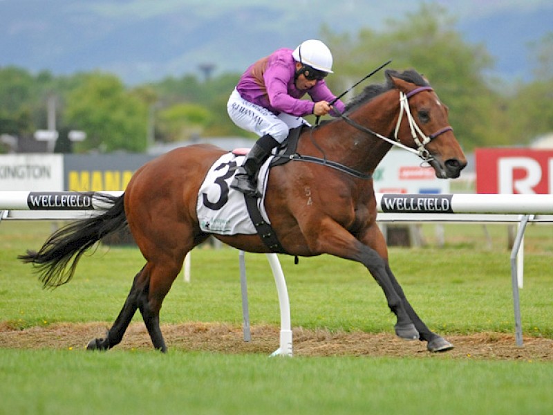 Father Lenihan is humming for rider Robbie Hannam on his way to leading all the way at Awapuni. PHOTO: Race Images.