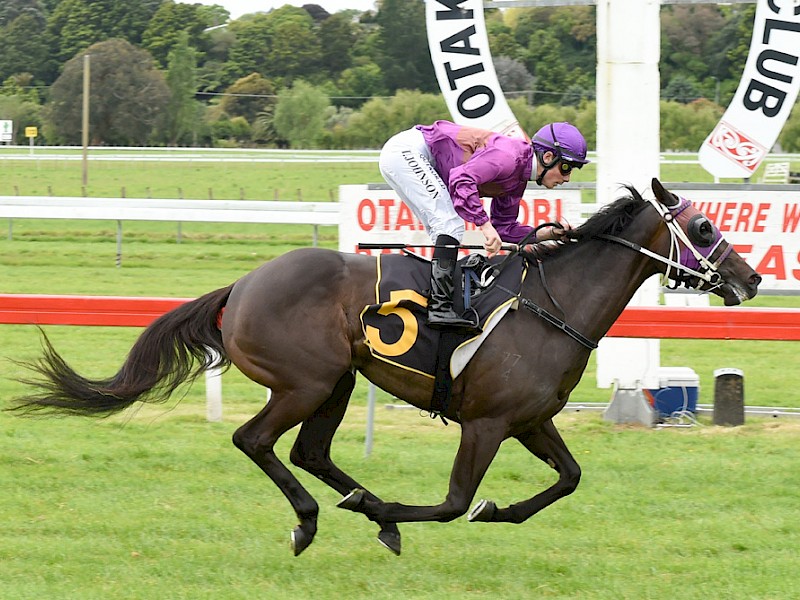 Lincoln Melody and Tim Johnson are big fresh-up winners at Otaki. PHOTO: Race Images.