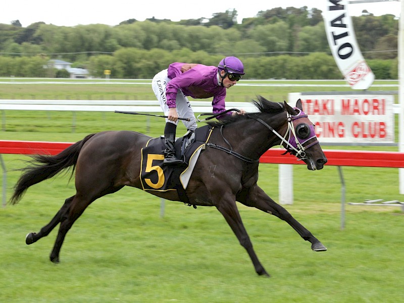 Tim Johnson has an armchair ride as Lincoln Melody cruises to the line for an upset fresh-up win at Otaki. PHOTO: Trish Dunell.