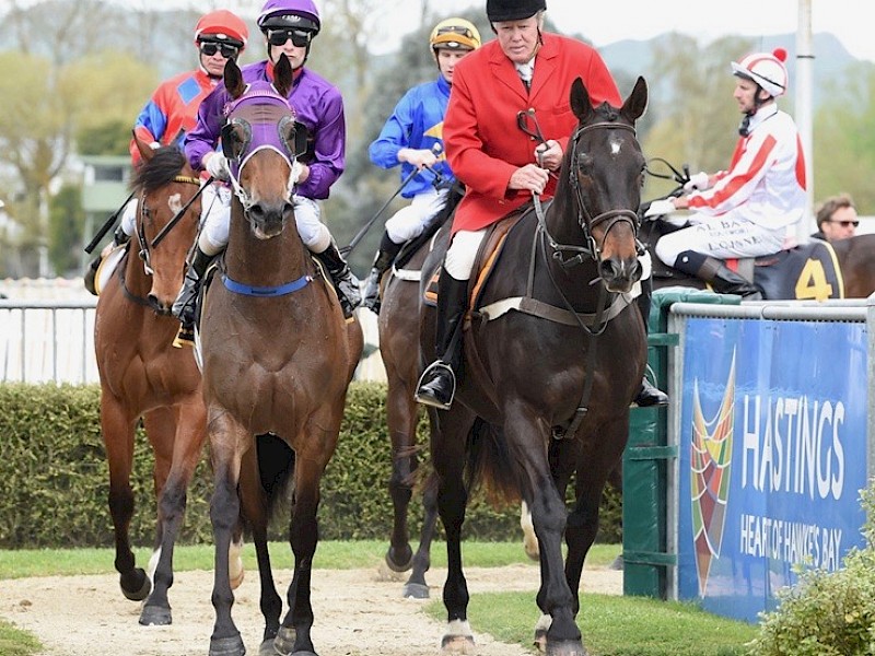 Johnathan Parkes brings Princess Amelie back to scale at Hastings. PHOTO: Race Images.