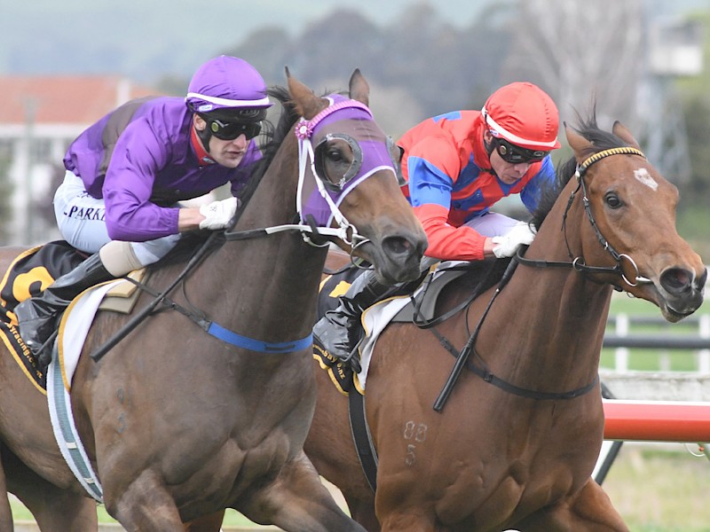 Princess Amelie, outer, guns down King Louis at Hastings. PHOTO: Race Images.