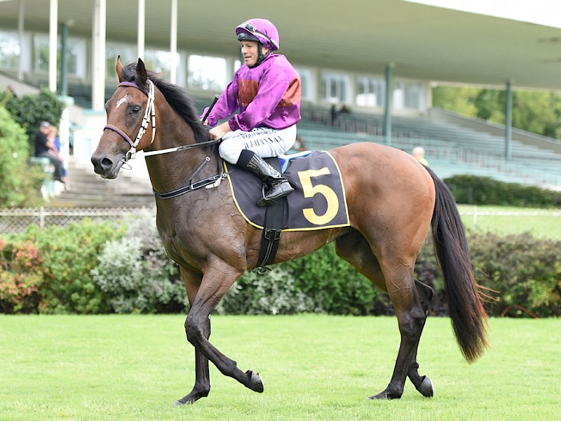 Robbie Hannam returns to scale on Princess Amelie at Tauherenikau. PHOTO: Race Images.