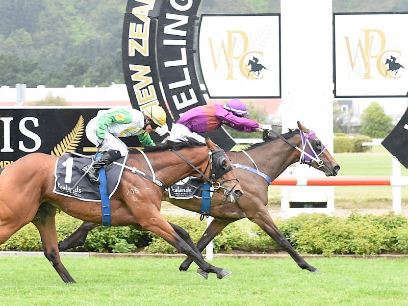 Princess Amelie (Johnathan Parkes) downs More Wonder at Trentham. PHOTO: Race Images.