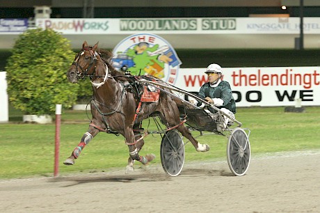 Badlands Bute had a blistering turn of speed which saw him win two derbies.