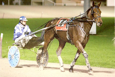 Galleons Sunset scored a brave win in the Interdominion Trotting Grand Final.