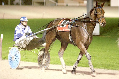 Galleons Sunset scored a brave win in the Interdominion Trotting Grand Final.