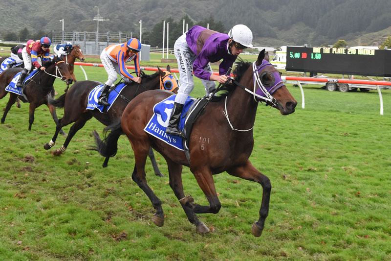 Platinum Spirit powers down the outside fence at Trentham.