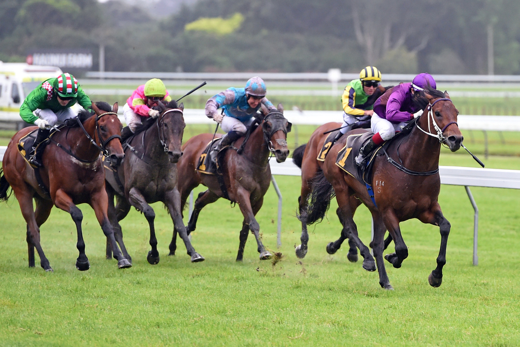 Lincoln Blue bagged the Group III Wellington Stakes