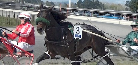 Beaudiene Western travelling strongly for driver Andre Poutama in his workout