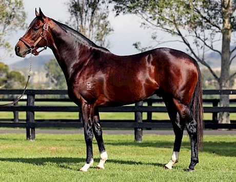 Dundeel stands at Arrowfield Stud for a fee of A$27,500