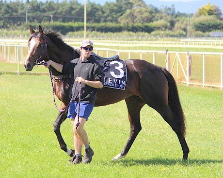 Lincoln Falls cut a fine dash at the Foxton trials