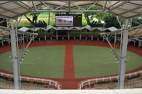 Trainers and racegoers at Kranji enjoy excellent facilities