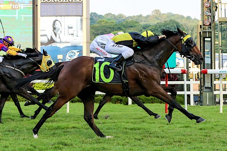 Silent Prince winning at Kranji