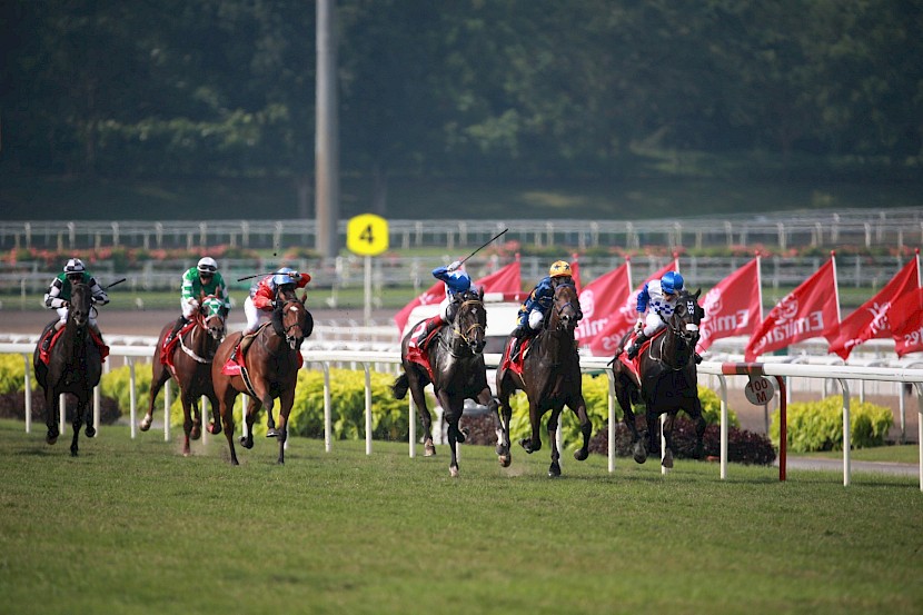 Singapore’s excellent prizemoney makes it one of the best places in the world to race horses