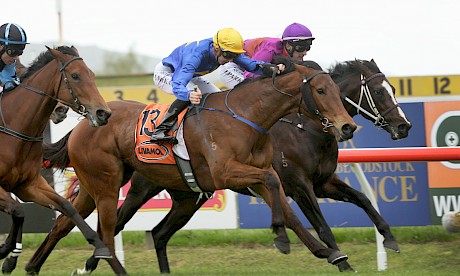 Lincoln Falls, inner, is just grabbed by Langkawi at Hastings last Saturday. PHOTO: Trish Dunell.