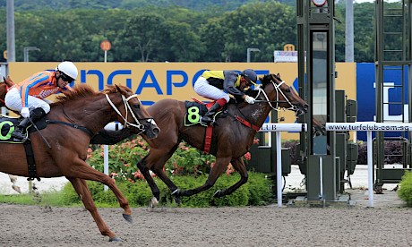 Pratt Street in winning form. He will be a solid chance from a good gate on Sunday.