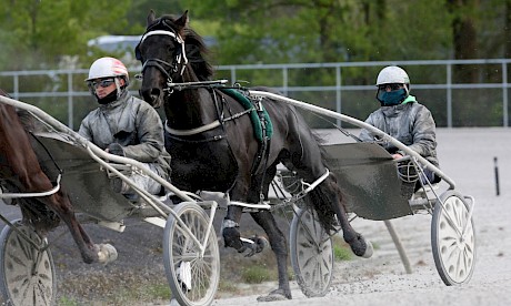 Northview Hustler and Andre Poutama in training at Pukekohe. Poutama will keep the cup drive if the horse makes the field.