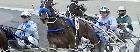 Recco Lover trails the Barry Purdon pair On The Cards and Mach Shard at Pukekohe today.