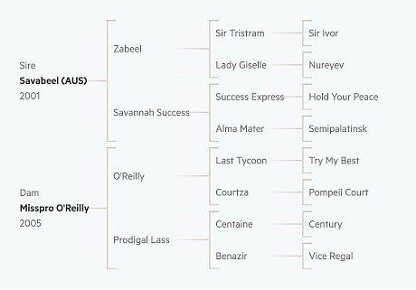 A pedigree with a strong Waikato Stud influence.