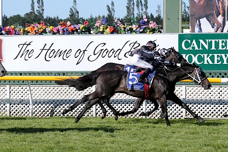 Kamanda Lincoln … suited by Trentham and any rain. PHOTO: Race Images.