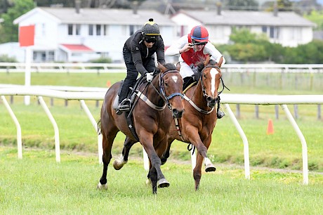 Lincoln Fury outguns Busybeingfabulous in his jumpout heat. PHOTO: Royden Williams.