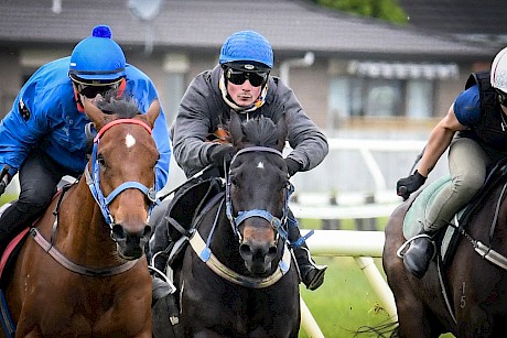 Lincoln Sky, centre, finishing on well for Tim Johnson. PHOTO: Royden Williams.