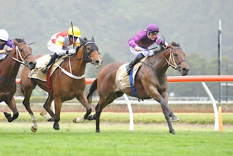 Tim Johnson, just out of his apprenticeship, found the gaps for Lincoln Raider to score a super impressive win. PHOTO: Race Images.