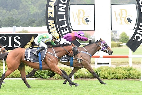 Princess Amelie staves off a late run from More Wonder at Trentham yesterday. PHOTO: Race Images.