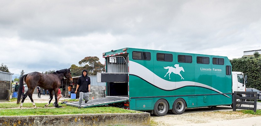 It’s load-up time after another big day at the trials for the Latta stable. PHOTO: Royden Williams.