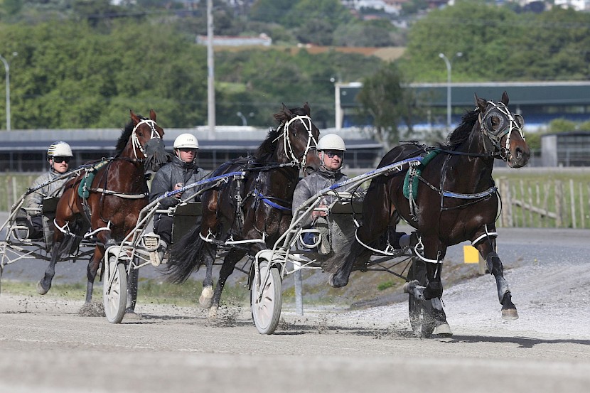 The three most forward colts in a training run at Pukekohe - Ideal Kingdom (Andrew Drake) leads Lincoln River (Andrew Sharpe) and Frankie Major (Zachary Butcher).
