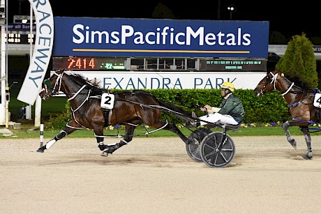 Make Way in winning form at Alexandra Park. PHOTO: Race Images.