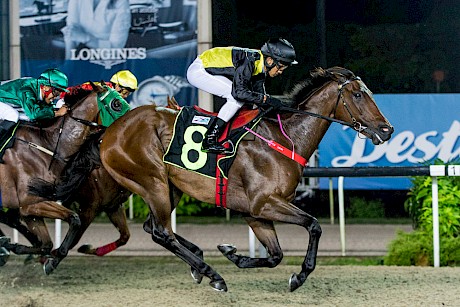 At the line and Saint Lincoln has the opposition well covered. PHOTO: SGRacingPhoto.